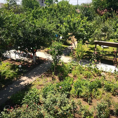 Casa Cu Verdeata * Douăzeci şi Trei August