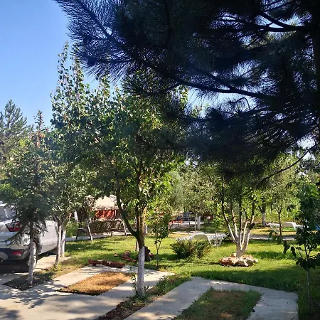 Pensjonat Casa Cu Verdeata