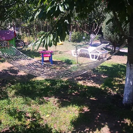 Pensjonat Casa Cu Verdeata Douăzeci şi Trei August