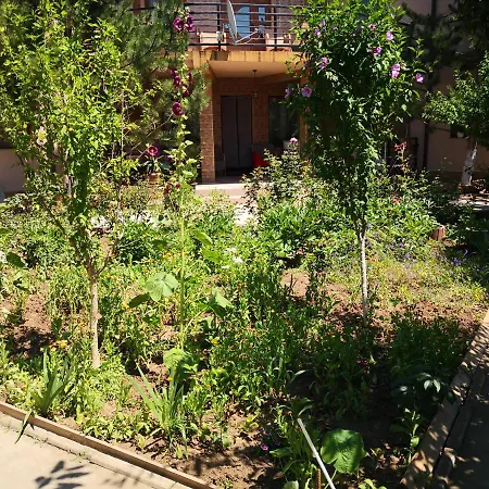 Pensjonat Casa Cu Verdeata